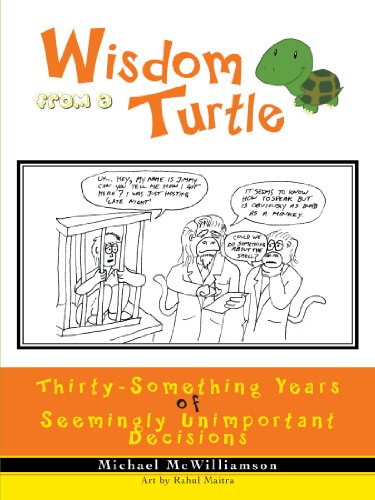 Wisdom From A Turtle Thirty-Something Years Of Seemingly Unimportant Decisions [Paperback]