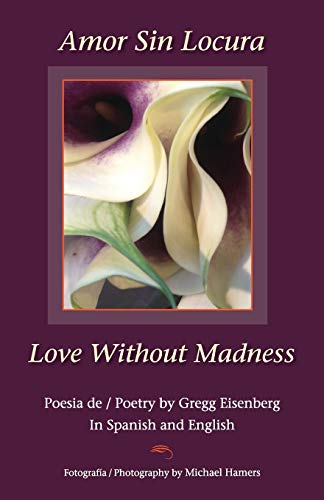 Amor Sin Locura Love Without Madness [Paperback]