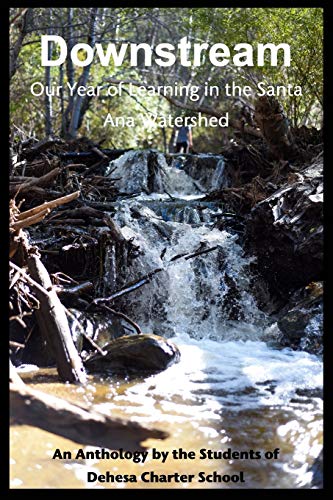 Downstream [Paperback]