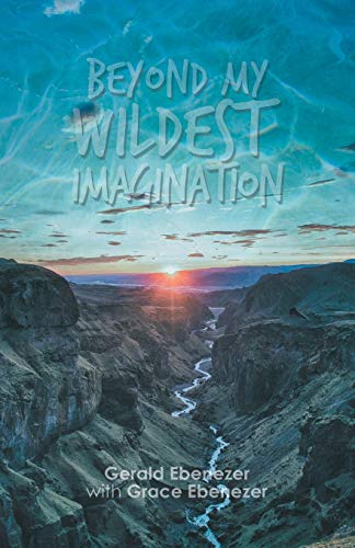 Beyond My Wildest Imagination [Paperback]
