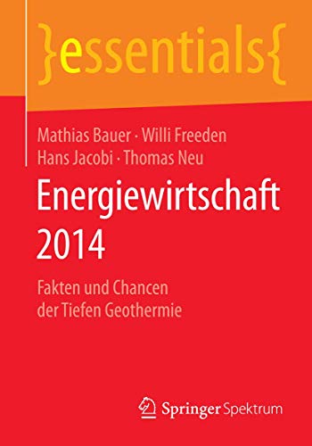Energiewirtschaft 2014 Fakten und Chancen der Tiefen Geothermie [Paperback]