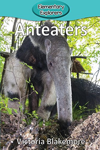 Anteaters [Paperback]