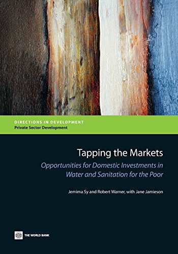 Tapping the Markets Opportunities for Domestic Investments in Water and Sanitat [Paperback]