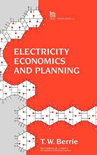 Electricity Economics and Planning [Hardcover]