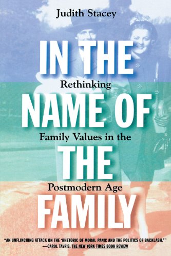 In the Name of the Family Rethinking Family Values in the Postmodern Age [Paperback]