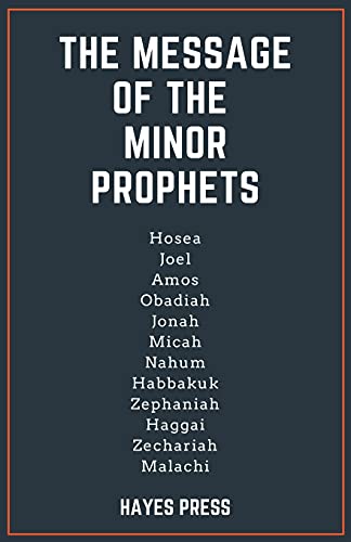 Message of the Minor Prophets [Paperback]