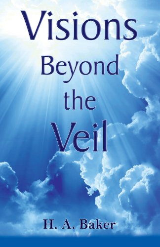 Visions Beyond The Veil [Paperback]
