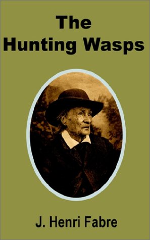 Hunting Wasps [Paperback]