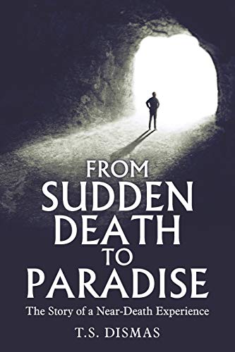 From Sudden Death to Paradise  The Story of a near-Death Experience [Paperback]