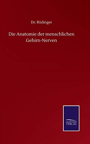 Die Anatomie Der Menschlichen Gehirn-Nerven