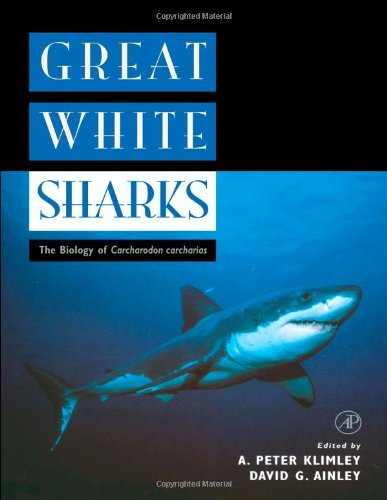 Great White Sharks The Biology of Carcharodon carcharias [Paperback]