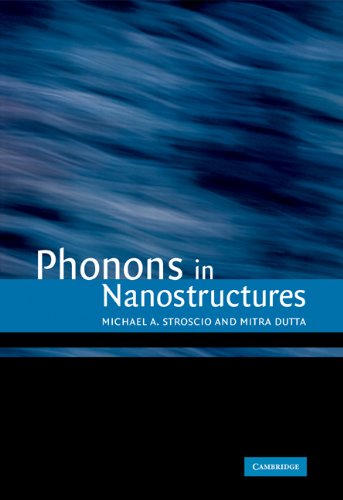Phonons in Nanostructures [Paperback]