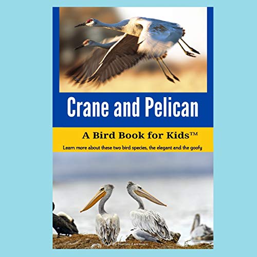 Crane and Pelican  A Bird Book for Kids [Paperback]