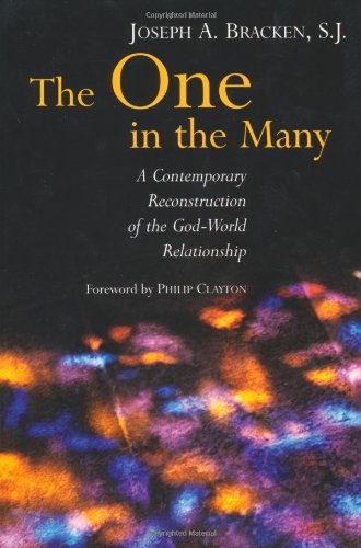 One in the Many  A Contemporary Reconstruction of the God-World Relationship [Paperback]