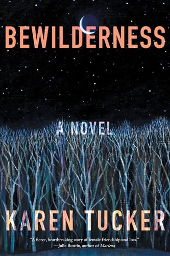 Bewilderness A Novel [Paperback]