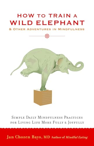 How to Train a Wild Elephant And Other Adventures in Mindfulness [Paperback]