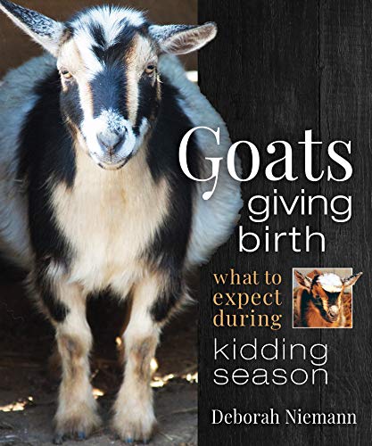 Goats Giving Birth What to Expect during Kidding Season [Paperback]