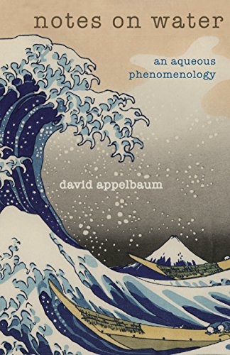 Notes on Water An Aqueous Phenomenology [Paperback]