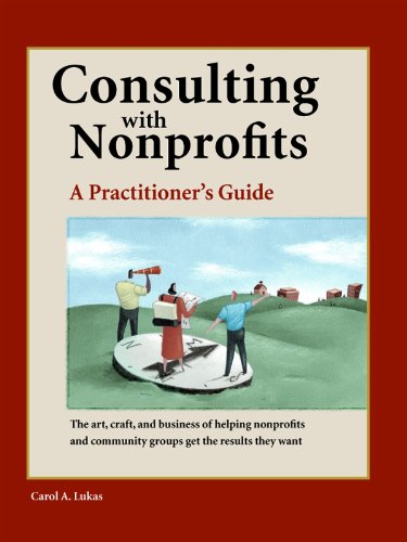 Consulting With Nonprofits A Practitioner's Guide [Paperback]