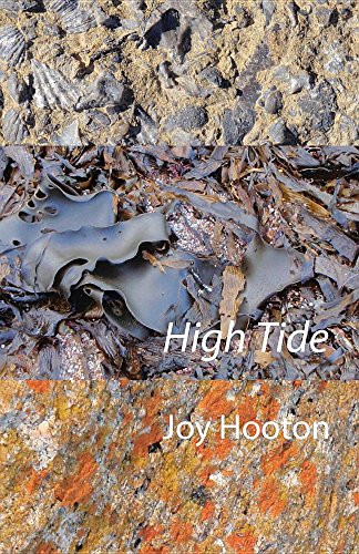 High Tide [Paperback]