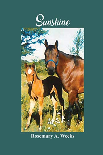 Sunshine [Paperback]