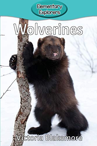 Wolverines [Paperback]