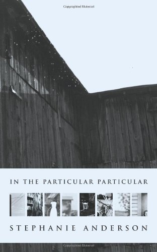 In The Particular Particular [Paperback]