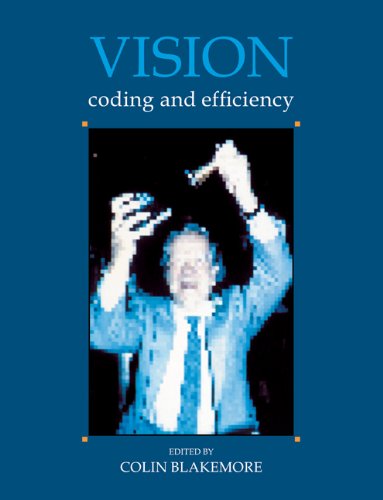 Vision Coding and Efficiency [Paperback]