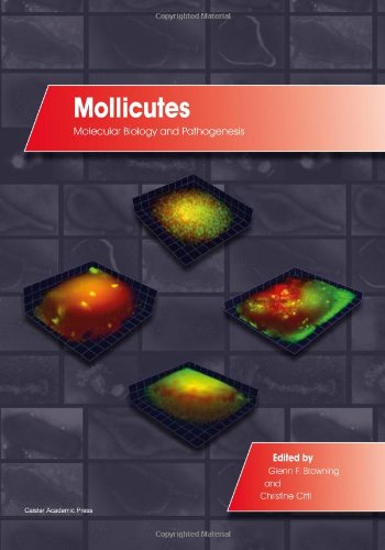 Mollicutes Molecular Biology And Pathogenesis [Hardcover]