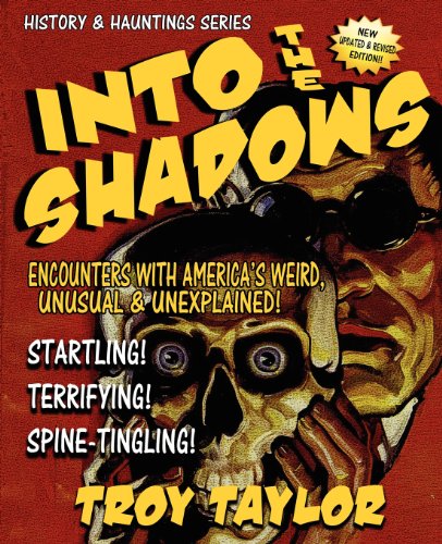Into The Shadows [Paperback]