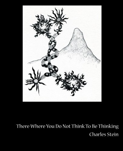 There Where You Do Not Think To Be Thinking Views From Tornado Island, Book 12 [Paperback]