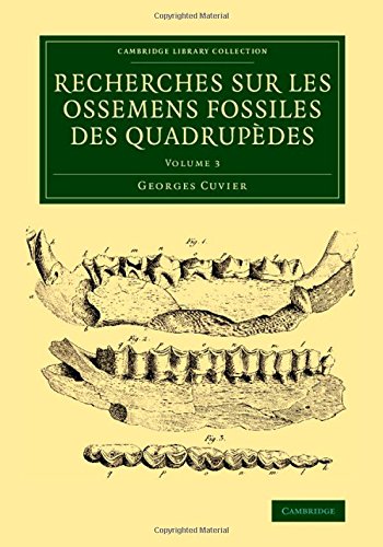 Recherches sur les ossemens fossiles des quadrup}}des [Paperback]