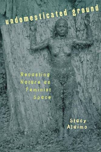 Undomesticated Ground Recasting Nature As Feminist Space [Paperback]