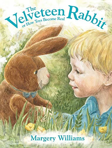 Velveteen Rabbit [Hardcover]