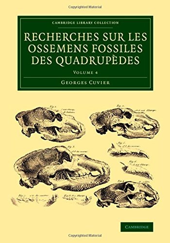 Recherches sur les ossemens fossiles des quadrup}}des [Paperback]