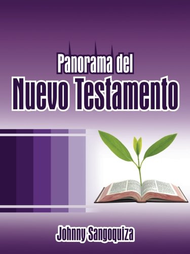 Panorama Del Nuevo Testamento (spanish Edition) [Paperback]