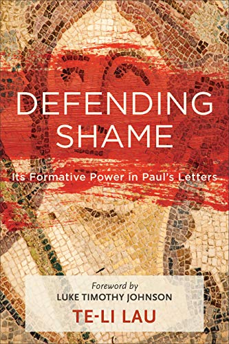 Defending Shame                          [TRADE PAPER         ]