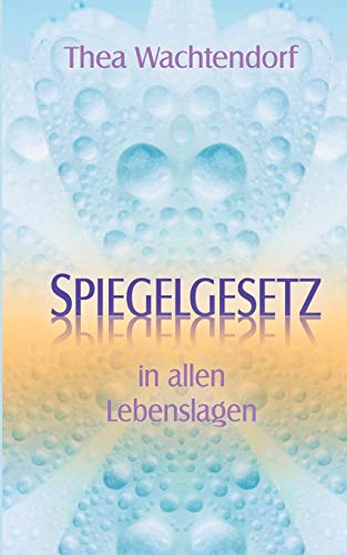 Spiegelgesetz In Allen Lebenslagen (german Edition) [Paperback]