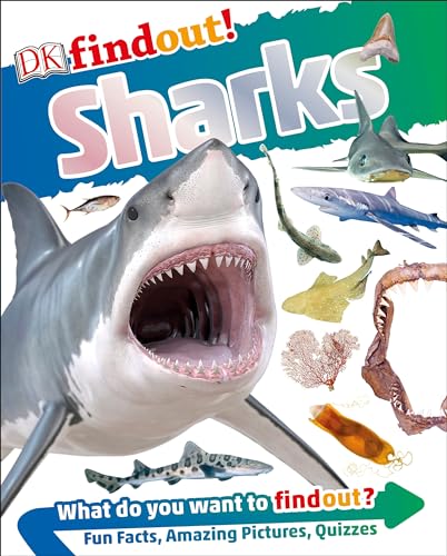 DKfindout Sharks [Paperback]
