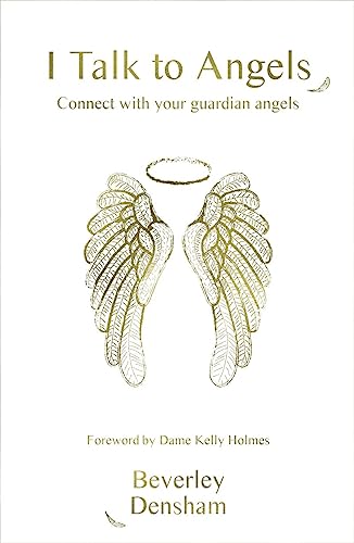 I Talk to Angels [Paperback]