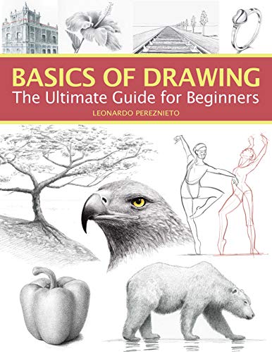 Basics of Drawing The Ultimate Guide for Beginners [Paperback]