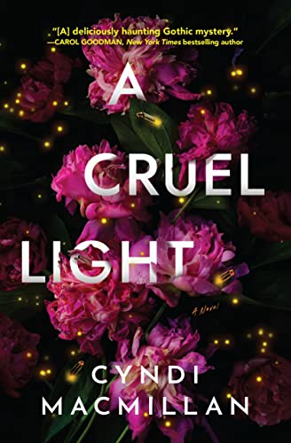A Cruel Light A Novel [Hardcover]