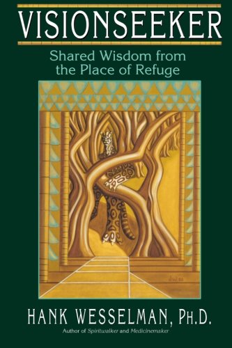 Visionseeker [Paperback]