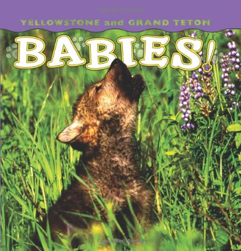 Yellowstone and Grand Teton Babies [Hardcover]