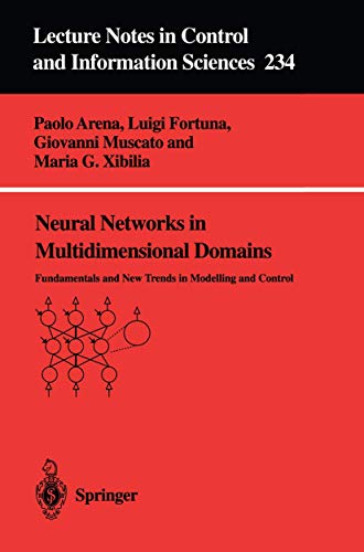 Neural Networks in Multidimensional Domains Fundamentals and New Trends in Mode [Paperback]