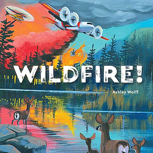 Wildfire [Hardcover]