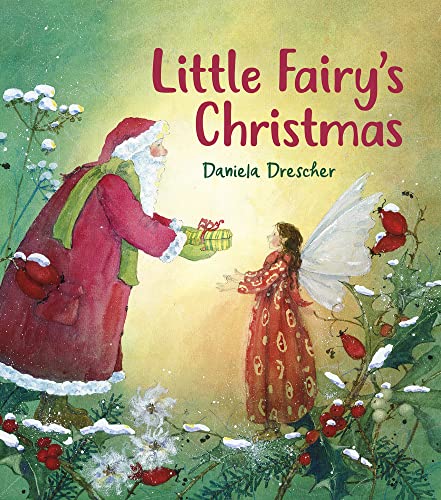 Little Fairy's Christmas [Hardcover]