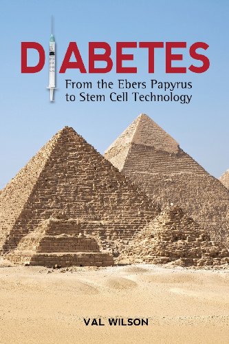 Diabetes From The Ebers Papyrus To Stem Cell Technology [Paperback]
