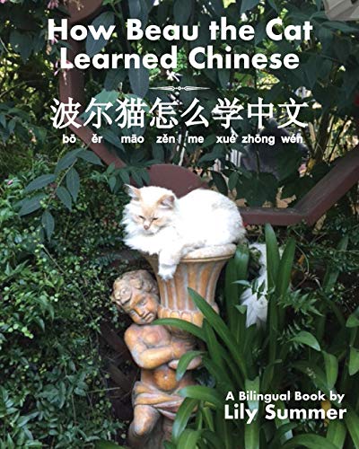 How Beau The Cat Learned Chinese [Paperback]