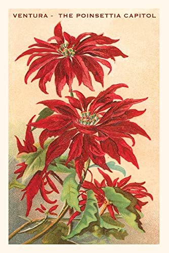 Vintage Journal Ventura, The Poinsettia Capital